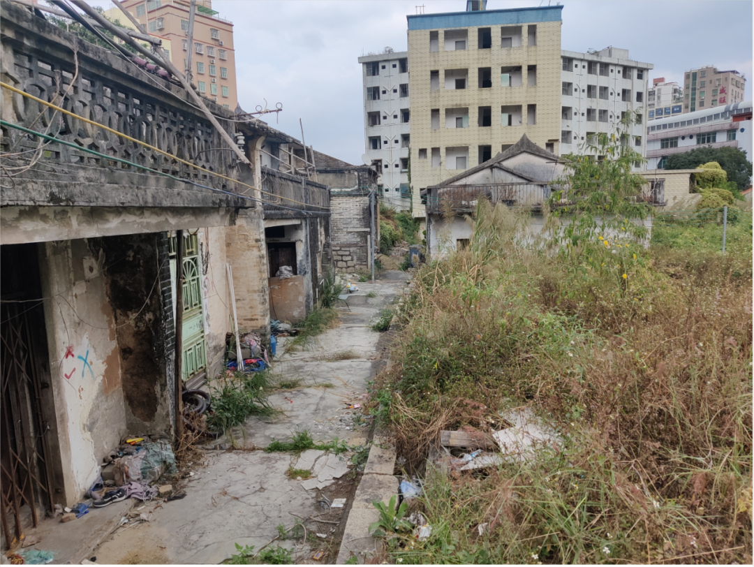 mg不朽情缘 - mg不朽情缘都会更新龙华赤岭头一项目正式交地