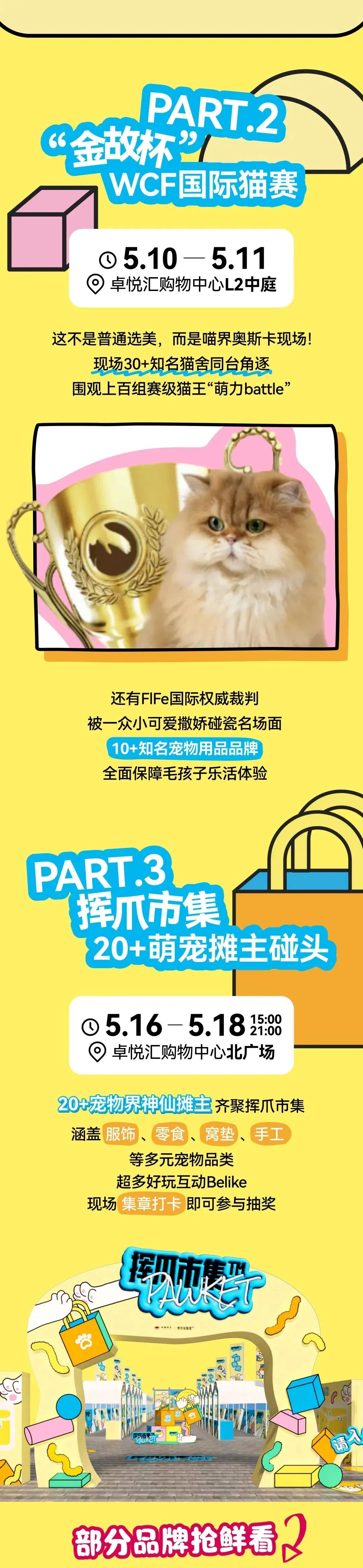 mg不朽情缘 - 邓峰家的猫来啦！mg不朽情缘商业开启超等V笑节5.0