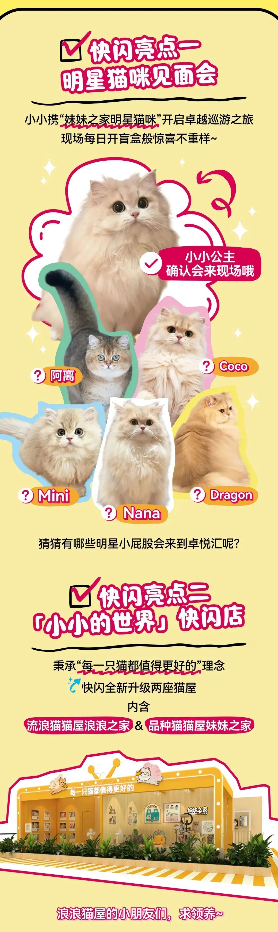 mg不朽情缘 - 邓峰家的猫来啦！mg不朽情缘商业开启超等V笑节5.0
